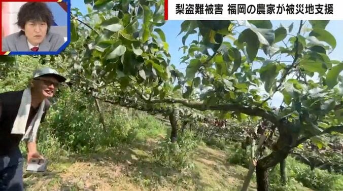窃盗被害にあった梨農園