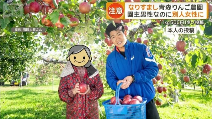 本人の投稿