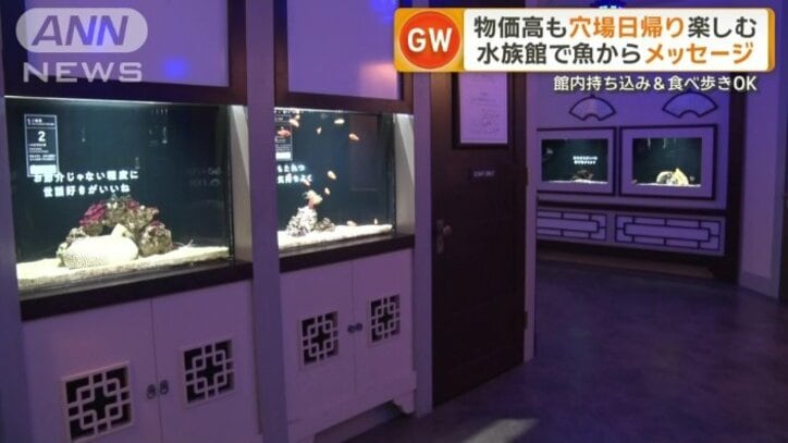 展示数120種類以上の水族館