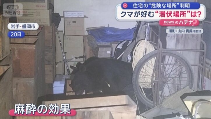 ついに麻酔の効果があらわれた