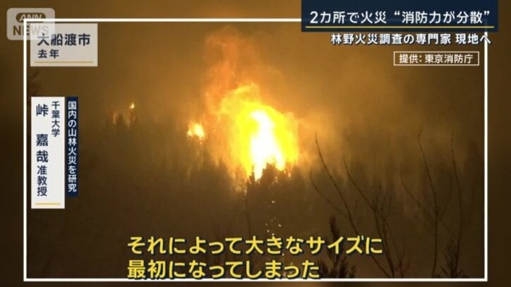 樹冠火（じゅかんか）