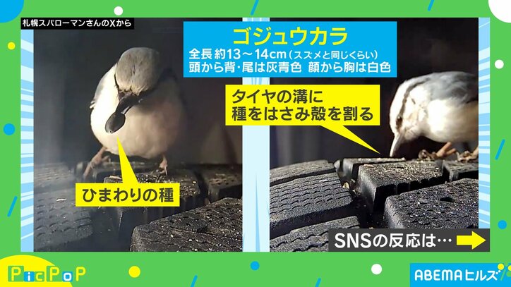 【写真・画像】ピック 0307 2枚目