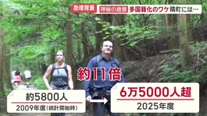世界中の旅人が歩く人気の道に