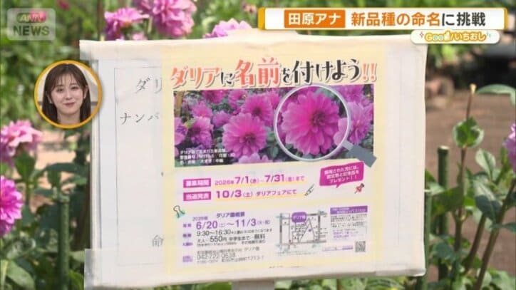「ダリアに名前を付けよう！」