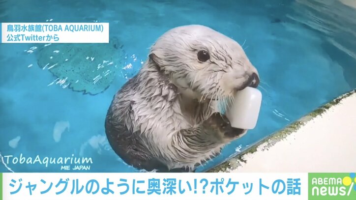 癒されまくり！今年話題を集めた小動物の可愛い＆爆笑投稿5選