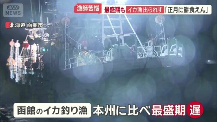 函館のイカ釣り漁は本州に比べ最盛期が遅い