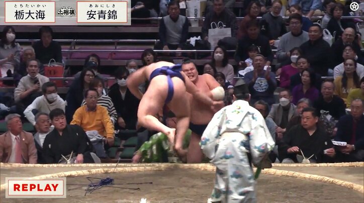 【写真・画像】　1枚目