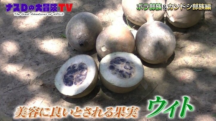 「全部あり」ナスDのすごさ よゐこ・濱口優を裏方で支えてきた男/てれびのスキマ(戸部田 誠)