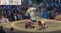 大相撲七月場所、熱戦最中“ひと際目立つ行司の姿”に熱視線「なかなか見ない」「いいデザインしてる」軍配にも注目