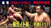 2019年 大相撲五月場所 - 今日の横綱 - &lt...