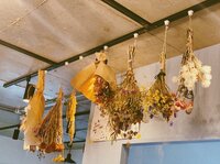 スザンヌ『熊本豪雨』