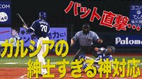 ベイスターズ ハイライト集 - 8月 - 「紳士過ぎる」視聴者も驚いた中日ガルシアの謝罪!横浜DeNA嶺井の側頭部をバット直撃 | 動画視聴はAbemaビデオ(AbemaTV)