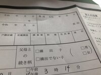 はあちゅう『出生届』