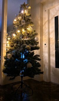 堀ちえみ『クリスマスツリーこれで完璧！』