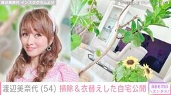 渡辺美奈代、自宅リビングやシューズクローゼット公開し「モデルルームみたい」「いつも綺麗にされていて主婦の鏡」と反響