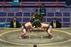 「ドスっ！」力士の“まわし蹴り”が行司を直撃するハプニング “鋭すぎる技”が生んだ珍事 腹部を押さえる仕草に「大丈夫？」