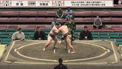 「すごい立派な眉毛」20歳の若手力士、“超キリリ”顔に反響 連続ズームに「表情アップ助かる」ファン歓喜