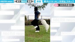 「息ピッタリ！」飼い主のスキップをマネする犬の姿に「楽しそうにピョンピョン！」「溜めなしの連続ジャンプ凄すぎ」と反響
