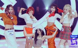 「チームavexです」デビュー経験もある日本人5人がタイのオーディションに参加「7年間、正直全部がよくないことだった」再起を懸ける