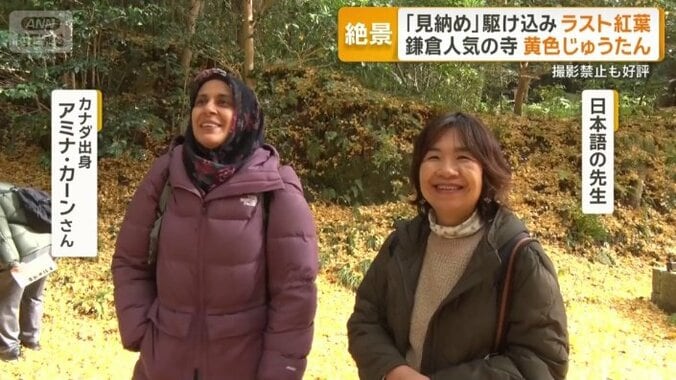 鎌倉の魅力を堪能