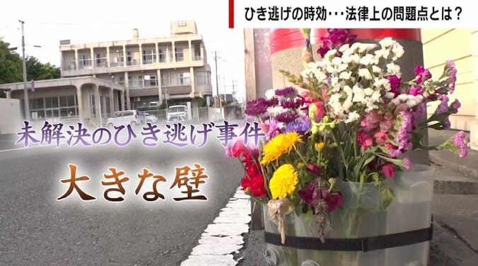 「逃げた時点で殺人ではないか」 未解決ひき逃げ事件の大きな壁となる「時効」 事故は故意にならない？ 2つの死亡事件から考える法律上の問題点 1枚目