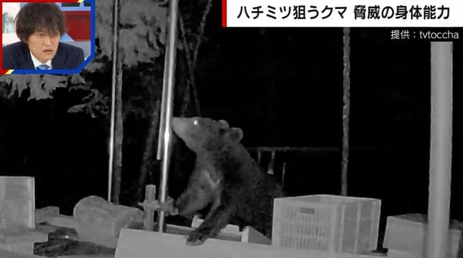 提供：tvtoccha