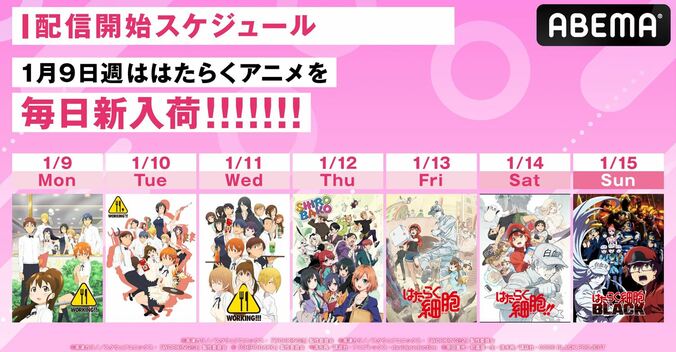 “働くアニメ”を毎日新入荷！『WORKING!!』『SHIROBAKO』『はたらく細胞』など3シリーズ7作品 1枚目