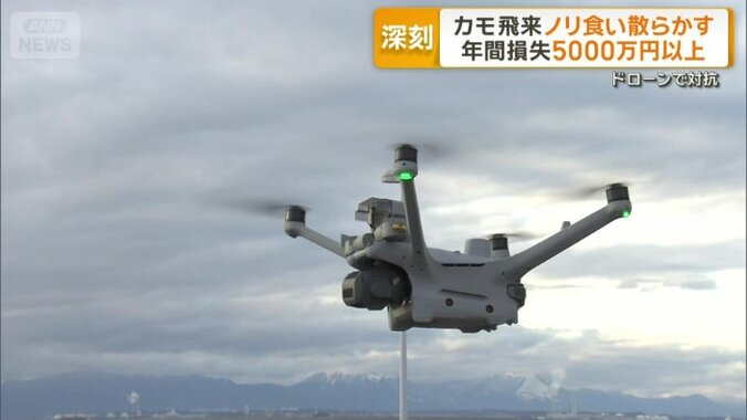 ノリを守る救世主・ドローン