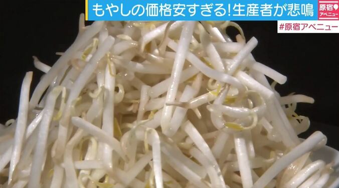 澤田汐音、藤田ニコルは「もやしばかり食べていた」　もやしダイエット絶賛 2枚目