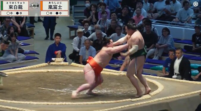 「まわしがド派手」新十両力士の“圧倒的”存在感に「色がすごい」ファン驚き 5枚目