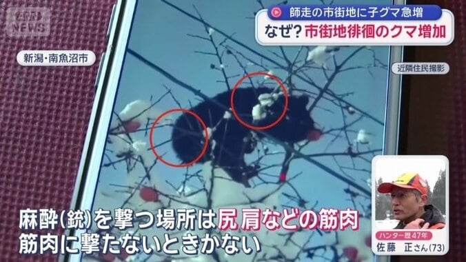 どこに狙いを定めて撃つ？