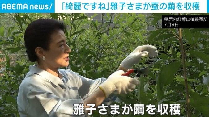 雅子さま