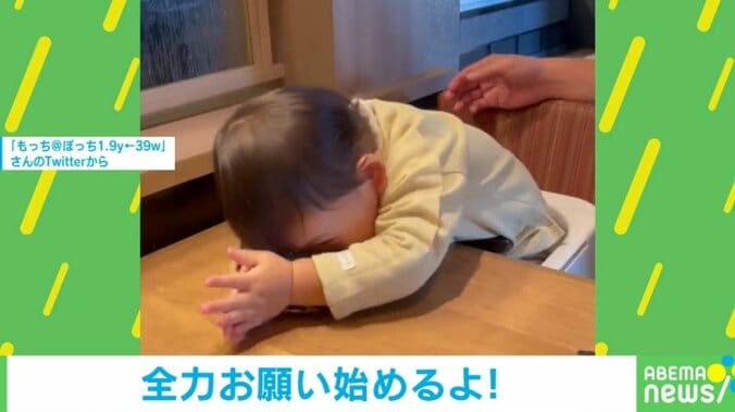 枝豆が食べたい…1歳児の可愛すぎる“全力のお願い”に悶絶する人続出「頼まざるを得ない!!」 1枚目