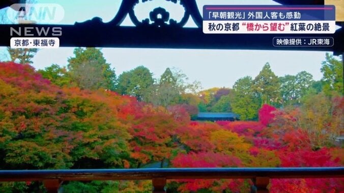 色とりどりの紅葉