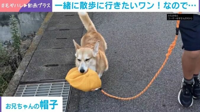 ゆずちゃん