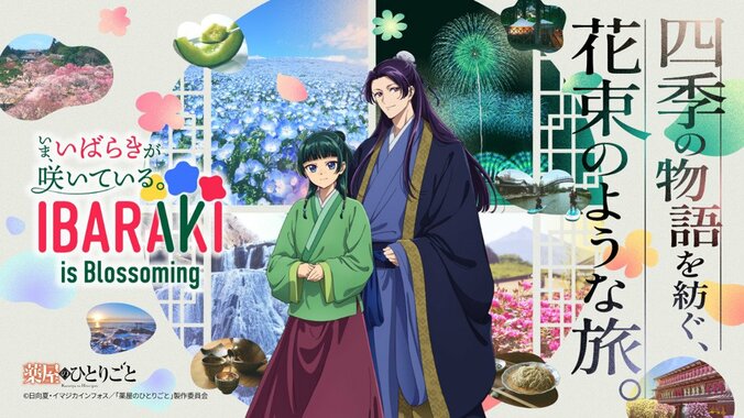 【写真・画像】茨城県×アニメ『薬屋のひとりごと』コラボ第2弾!「花束のような旅」を表現した新ビジュアル・PV公開 1枚目