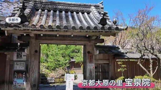 京都大原の里　宝泉院