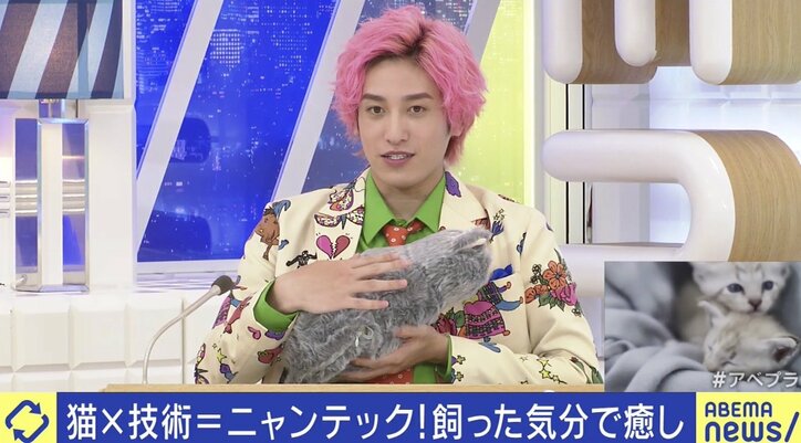 SNS最強コンテンツ“猫”「安易な気持ちで飼わないで」ご飯やトイレ、病院代…人気の裏に“飼育放棄”の現実も