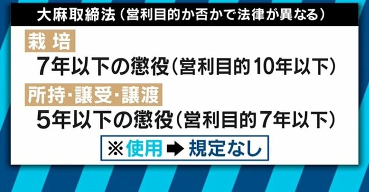 ラッパーUZIが大麻所持容疑で逮捕 大麻とヒップホップの関係は?合法化が加速するアメリカでは「酒・たばこと同じ」との声も