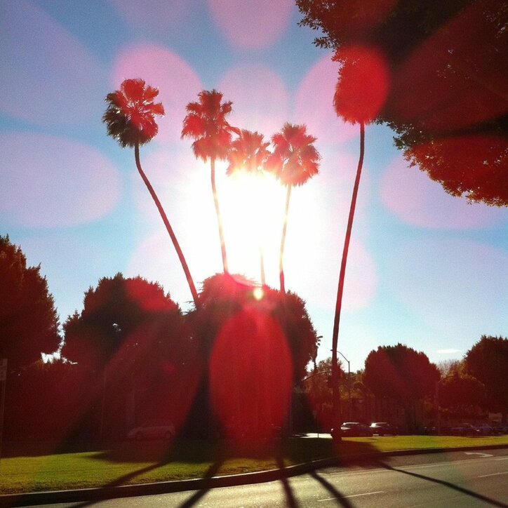 大門弥生、新曲「Freedom」をリリース、7月26日にはMVも公開！