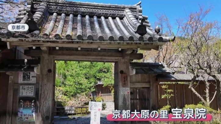 京都大原の里　宝泉院