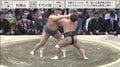 「お客様 大丈夫ですか？」気迫あふれるつっぱり相撲で力士が客席に飛び込み相撲ファンもひやひや