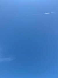 杉浦太陽『早く平穏な日に…』