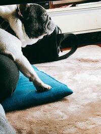 松居直美『更年期の睡眠不足( •́ .̫ •̀ )』