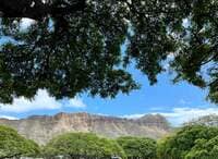 薬丸裕英『Hawaii 好きなスポット』