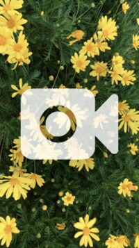 上原さくら『眠る前に見ようと思って...』