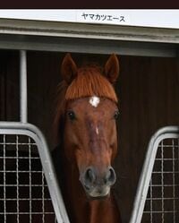 丸山桂里奈『最近めちゃくちゃ似てると言われる』