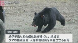 保護か住民の安全か…強いられる判断　“人間の怖さ”学ばず？クマ再出没