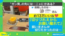 「なにするつもりニャ？」猫型ケーキをガン見する猫に飼い主「切りづらいから離れて」