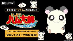 アニメ『とっとこハム太郎』第2期全103話、パンダくんの誕生日4月8日に無料一挙放送